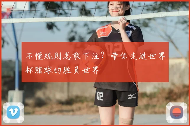 不懂规则怎敢下注？带你走进世界杯赌球的胜负世界